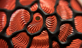 CPNE Pôle AA Gravure